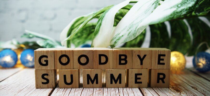 Goodbye,Summer,Alphabet,Letter,With,Monstera,Leave,Decoration,On,Wooden