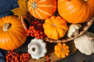 Autumn,Composition,For,Thanksgiving,Day,,Still,Life,Background.,Pumpkin,Harvest