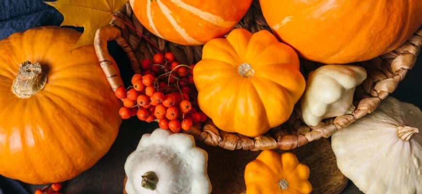 Autumn,Composition,For,Thanksgiving,Day,,Still,Life,Background.,Pumpkin,Harvest